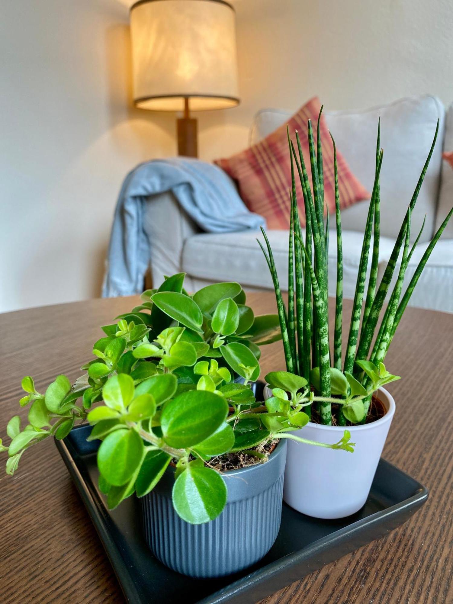 Ba Em City Apartment Wiesbaden Ngoại thất bức ảnh