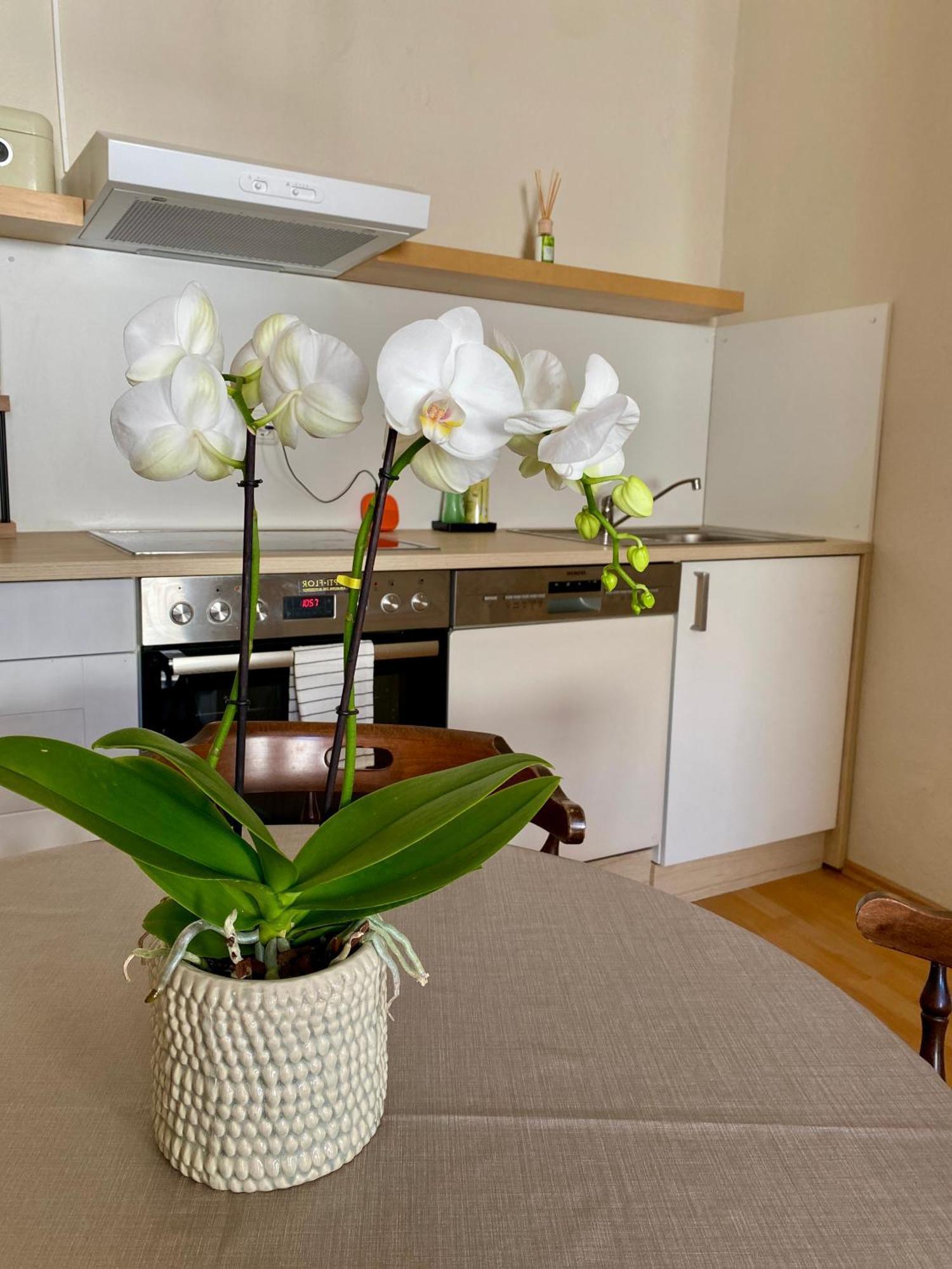 Ba Em City Apartment Wiesbaden Ngoại thất bức ảnh